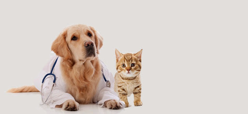 Klinik Haiwan Emelia Veterinary Clinic