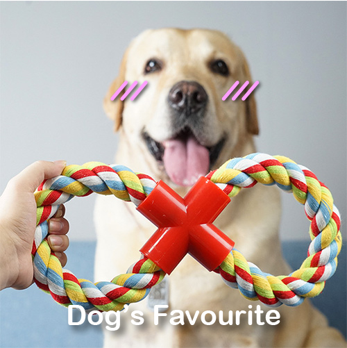 Veintage Wednesday Sdn Bhd