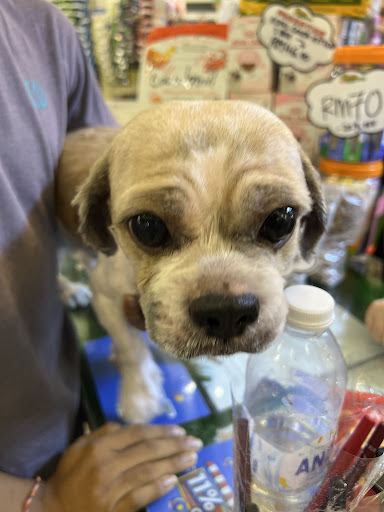 Pets Naturale Setapak Central Mall