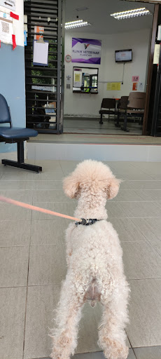 Kuantan Veterinary Clinic