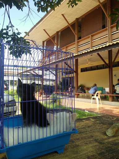 Pahang Animal Clinic