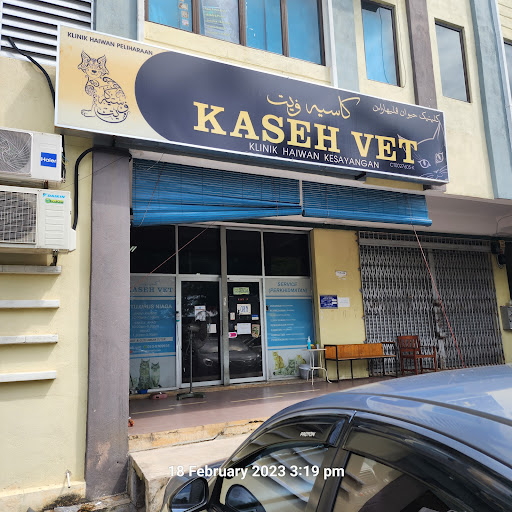 Kaseh Vet