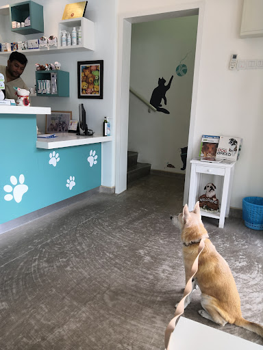 ARK VETERINARY CENTRE