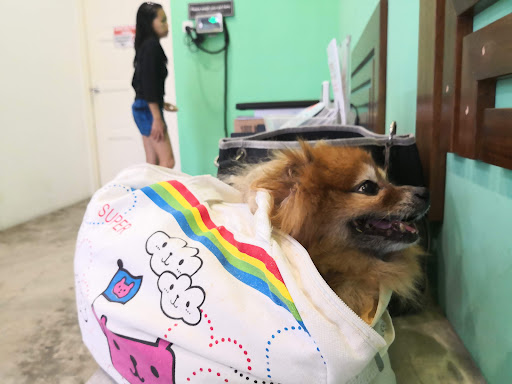 Neko Inu Veterinary Centre