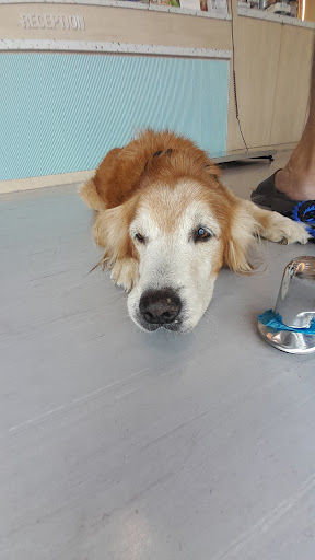 LOVINCARE Veterinary Medical Centre