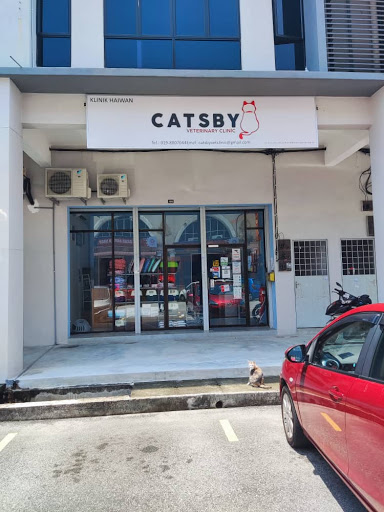 Klink Haiwan Catsby Pulau Pinang
