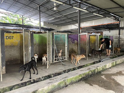 IAPWA Penang Dog Kennel