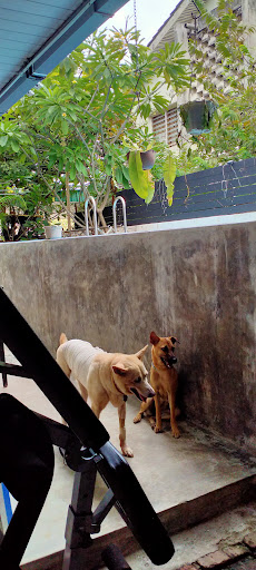 Unipet Veterinary Center