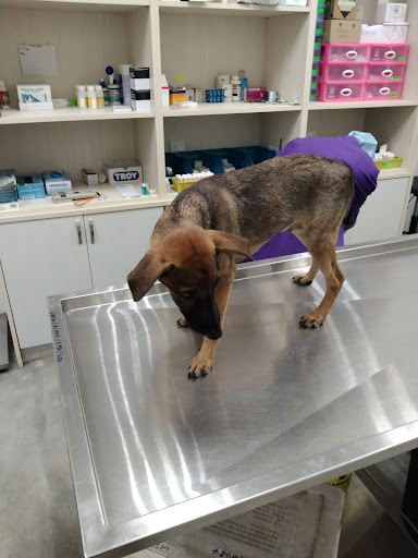 Jabatan Perkhidmatan Veterinar Negeri Pulau Pinang