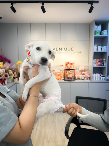 Kenique Veterinary Centre