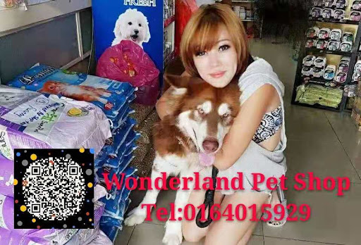 Wonderland Petshop