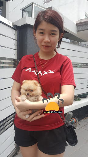 Mr J Pet Centre