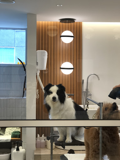 Carenis Pet Wellness