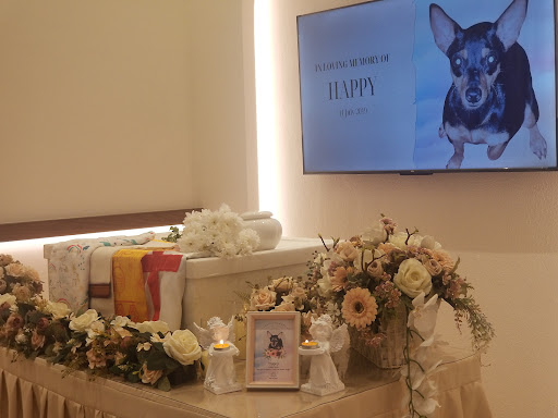 My Pet Funeral & Pet Cremation - Penang （槟城宠物火化/宠物善终）