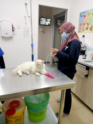 Klinik Haiwan Surgeri Ipoh Ville