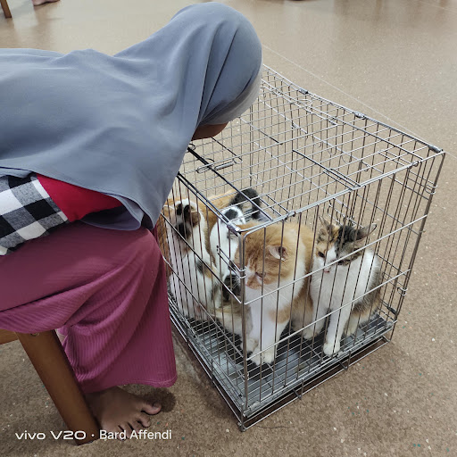 Klinik Haiwan Dr Nour Ipoh