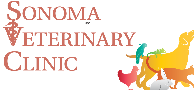 fa veterinary clinic