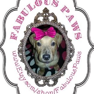 fabulous paws pet grooming and boarding