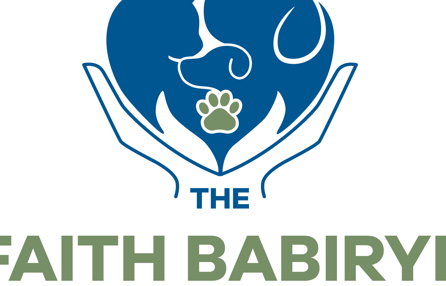 faith veterinary clinic surgery