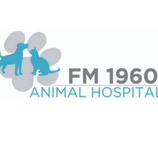 fm veterinary clinic surgery