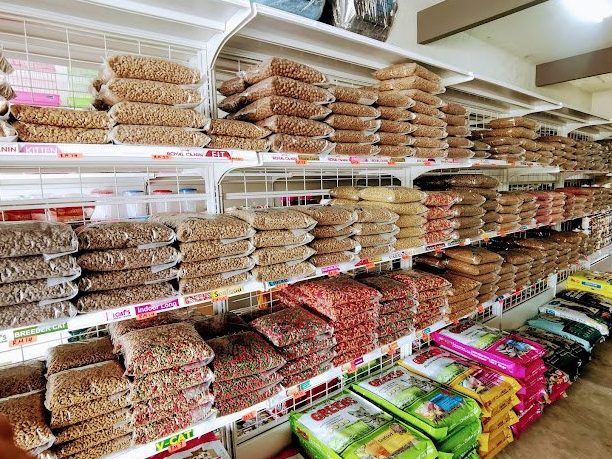 frenz pet house kubang kerian