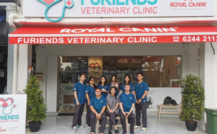 furiendly veterinary clinic surgery