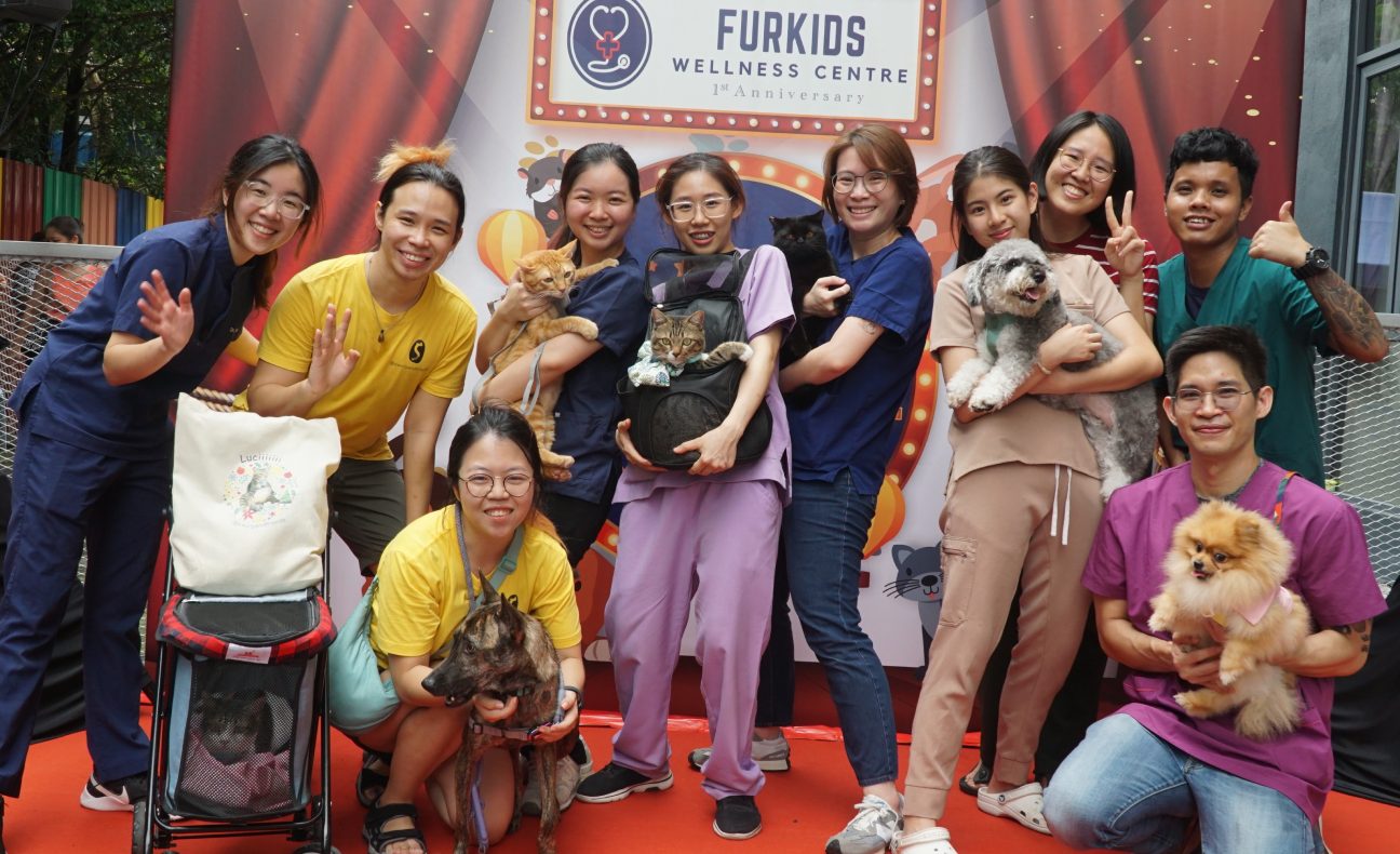 Furkids Wellness Centre 1 furkids wellness centre