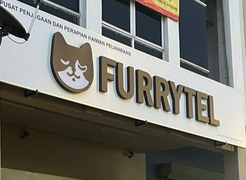 furrytel wangsa maju cat hotel grooming