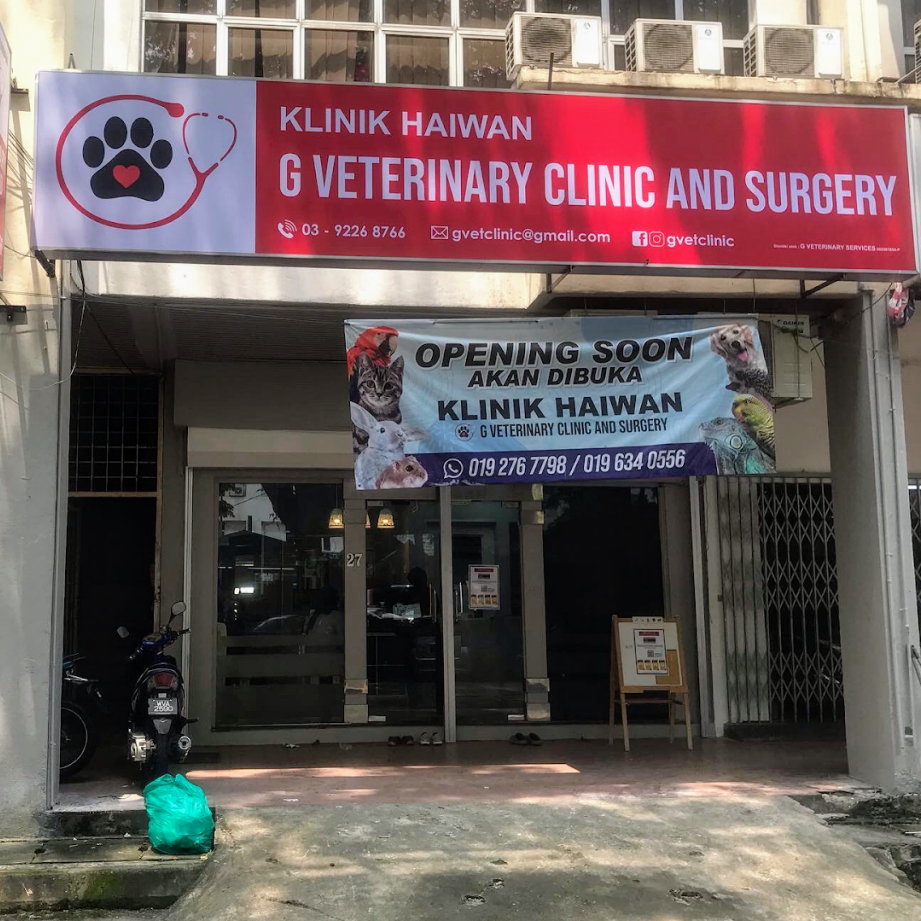 G Veterinary Clinic & Surgery 1 g veterinary clinic surgery