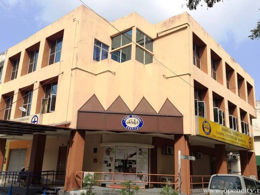 gasing veterinary hospital