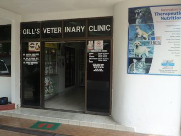 gills veterinary clinic
