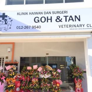 goh tan veterinary clinic e585bde58cbb