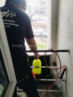 Govin Animal Polyclinic & Kennels 1 govin animal polyclinic kennels