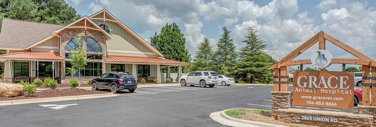 grace veterinary clinic