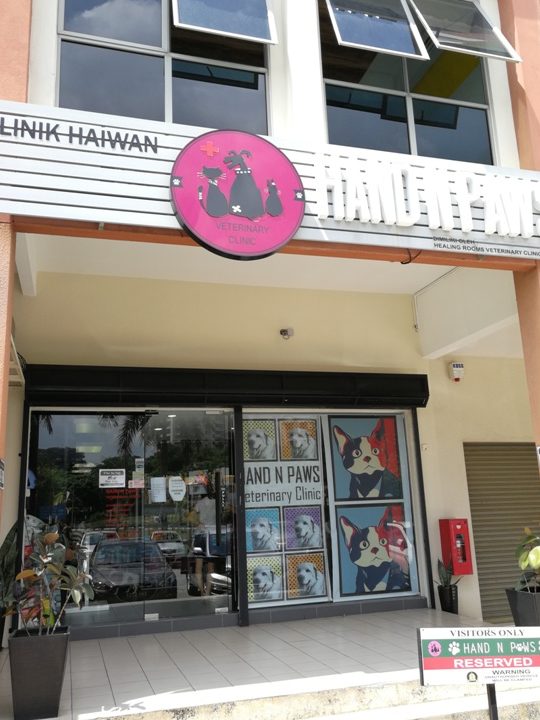 Hand N Paws Veterinary Clinic & Pet Center 1 hand n paws veterinary clinic pet center