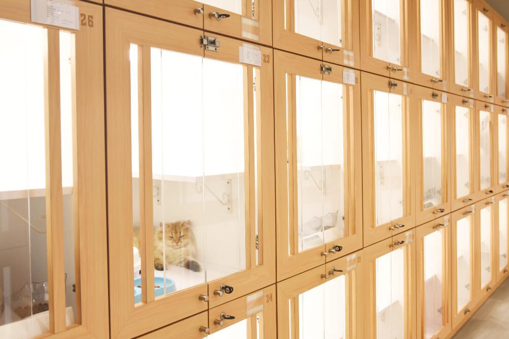 hapykat wellness shah alam