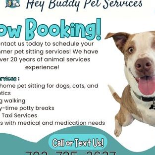 heybuddy pet grooming