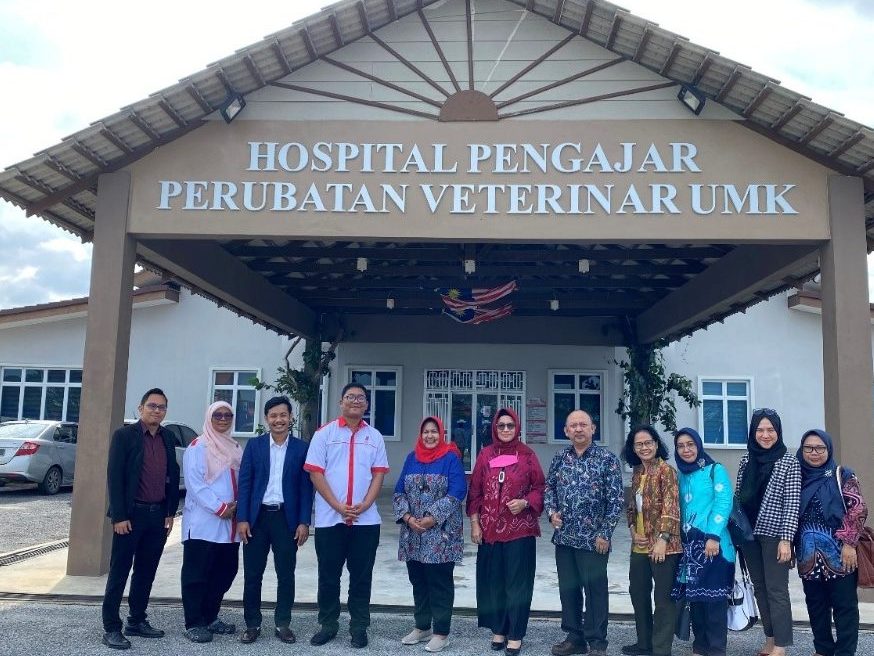 hospital pengajar perubatan veterinar umk