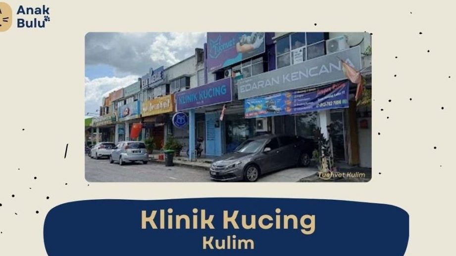 Jabatan Perkhidamatan Veterinar Daerah Kulim 1 jabatan perkhidamatan veterinar daerah kulim