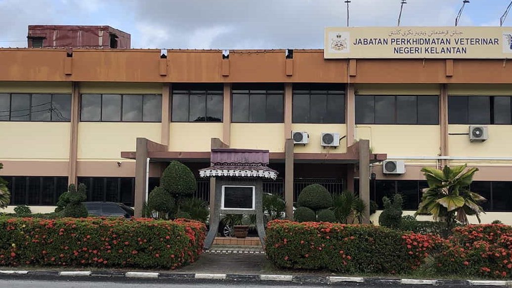 jabatan perkhidmatan veterinar jajahan tumpat