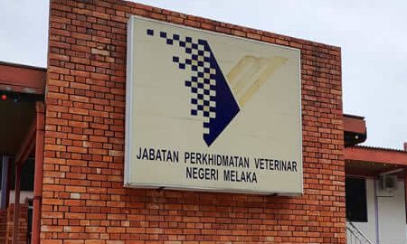 jabatan perkhidmatan veterinar negeri melaka