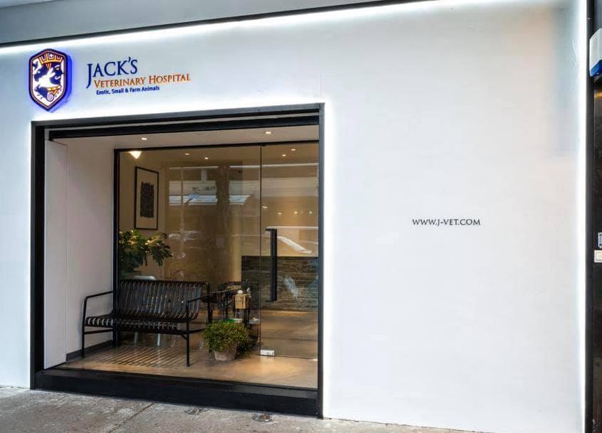 jacks veterinary clinic