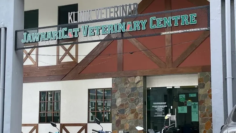 jawharicat veterinary centre