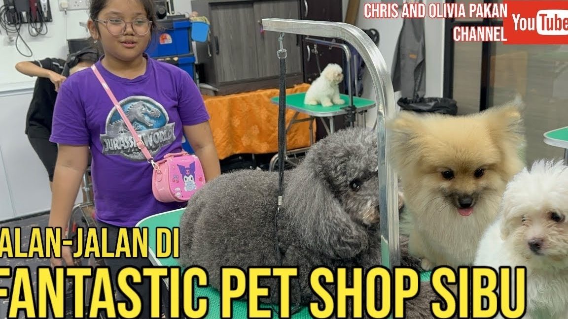 kedai binatang kesayangan fantastic
