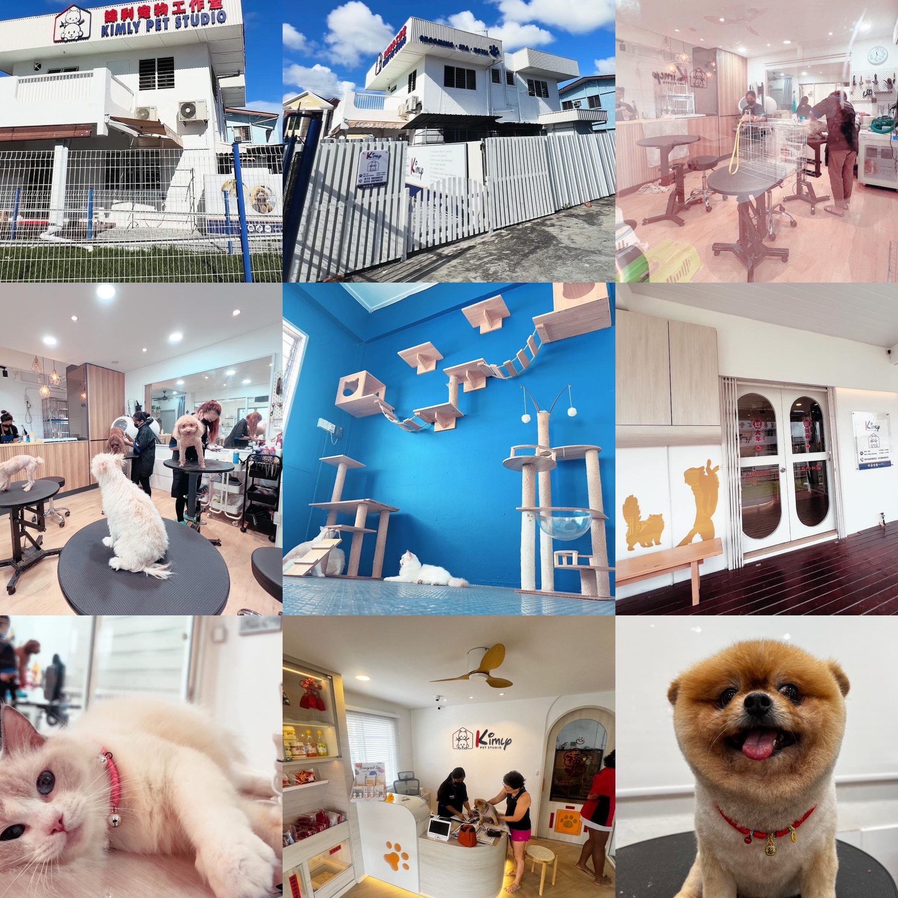 kimly pet studio