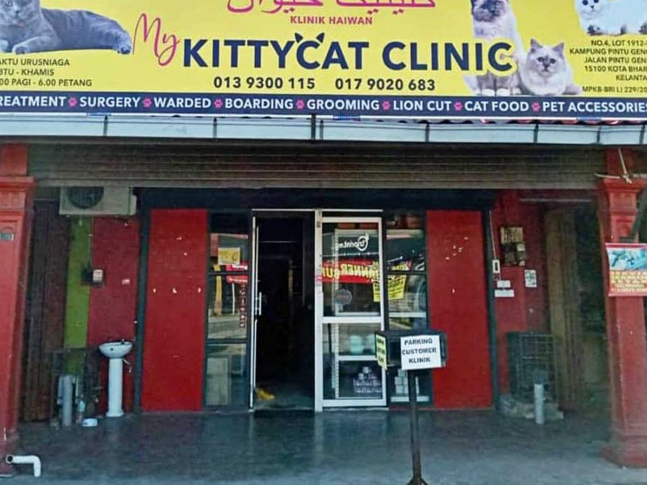 kitty cat klinik kota bahru