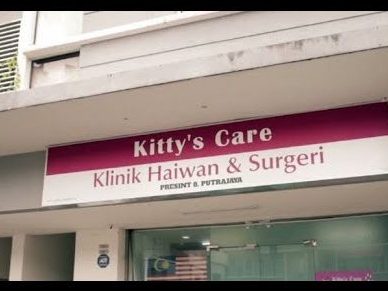 kittys care veterinary clinic bandar sri permaisuri klinik haiwan surgeri