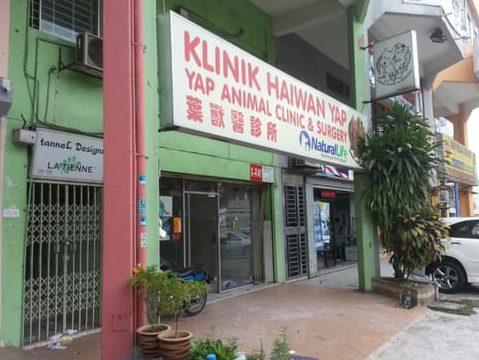 klang animal clinic