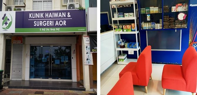 Klinik Anjing Terbaik di Alor Setar 1 klinik anjing terbaik di alor setar