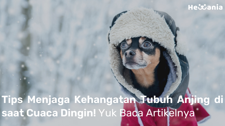 klinik anjing terbaik di ayer hangat